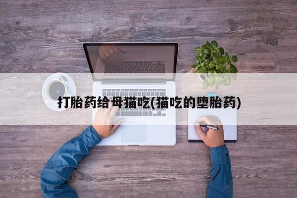 药流药使用打胎药给母猫吃(猫吃的堕胎药)