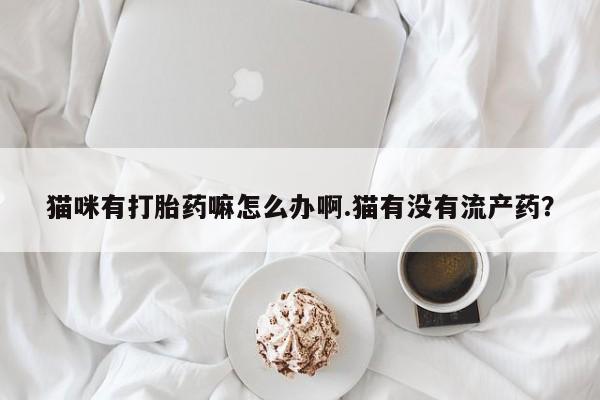 药流药使用猫咪有打胎药嘛怎么办啊.猫有没有流产药？