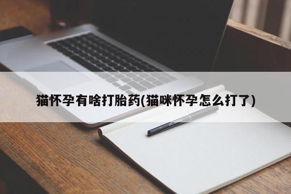 药流药使用猫怀孕有啥打胎药(猫咪怀孕怎么打了)