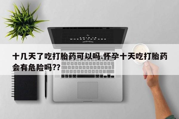 药流药使用十几天了吃打胎药可以吗.怀孕十天吃打胎药会有危险吗?？