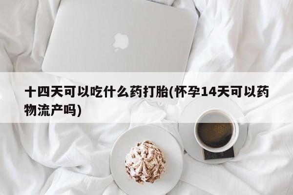 药流药使用十四天可以吃什么药打胎(怀孕14天可以药物流产吗)